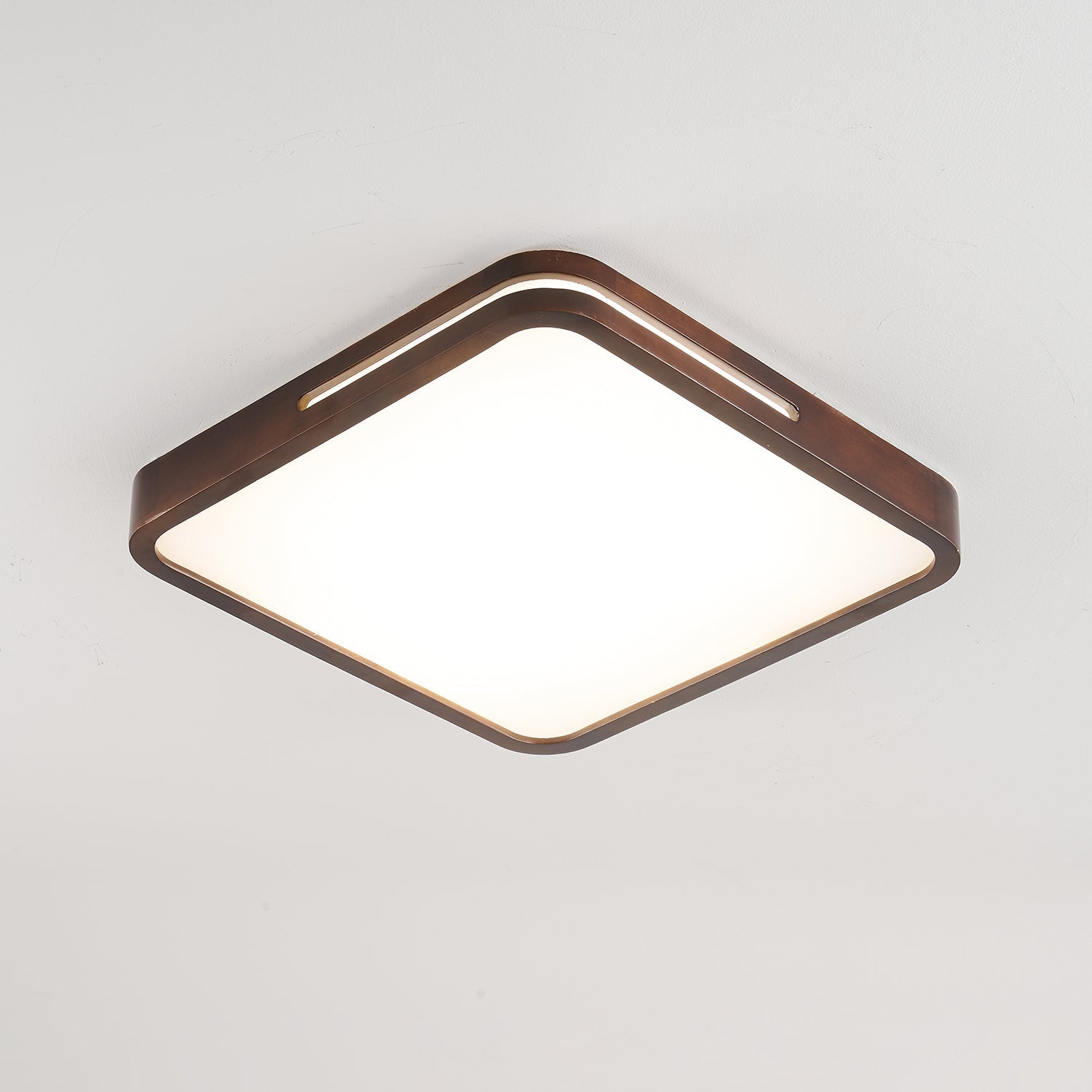 Vizoros Modern Minimalist Ceiling Light