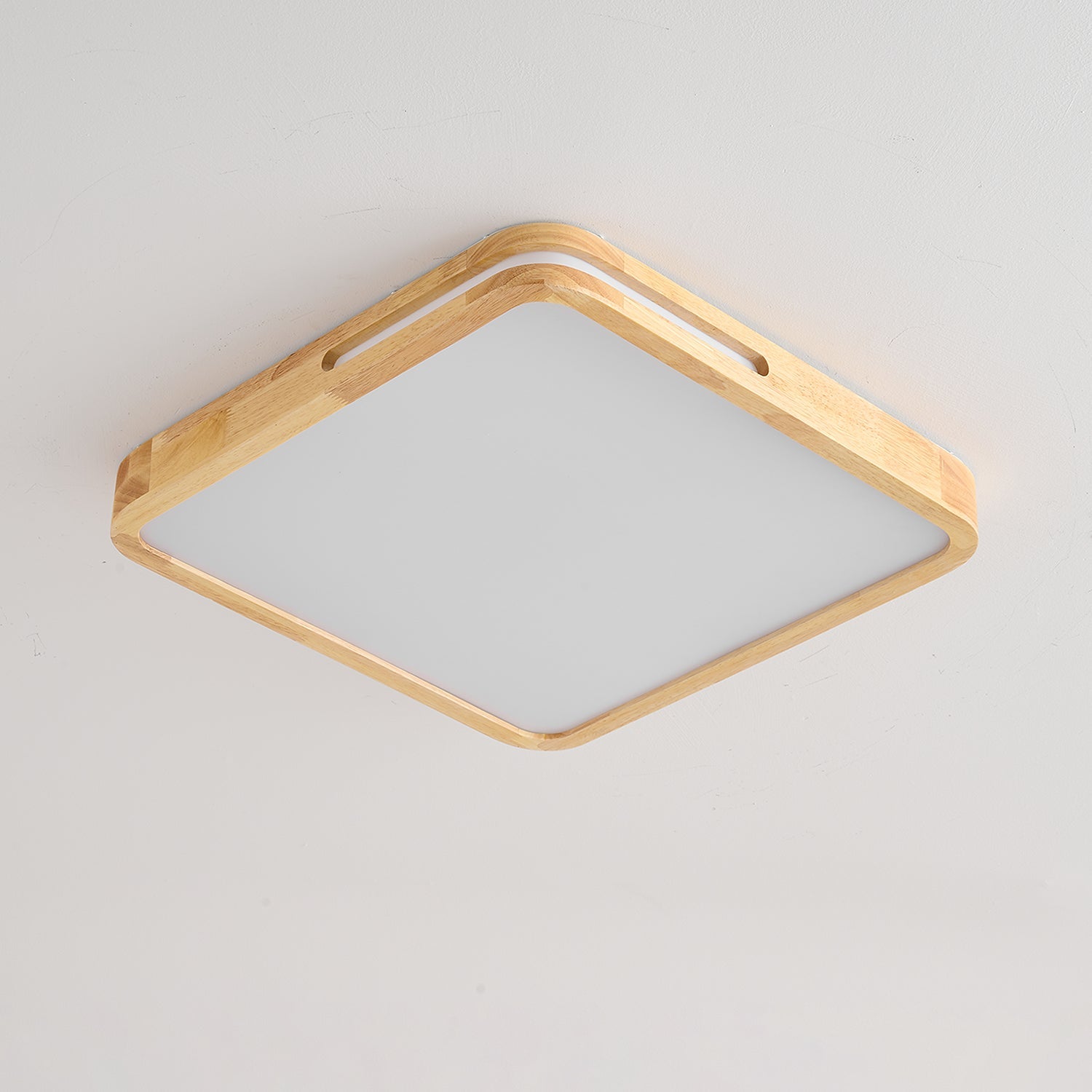 Vizoros Modern Minimalist Ceiling Light