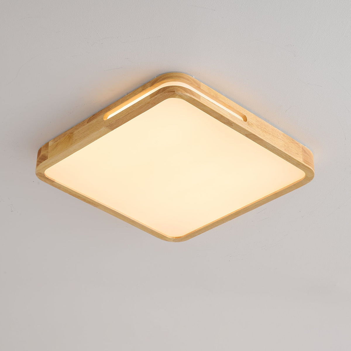 Vizoros Modern Minimalist Ceiling Light