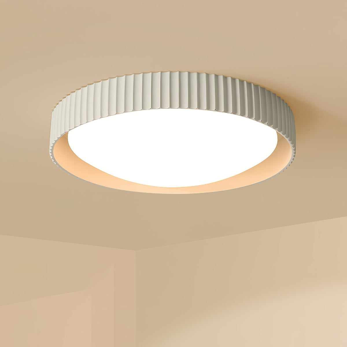 Alesin Modern Minimalist Resin Ceiling Light