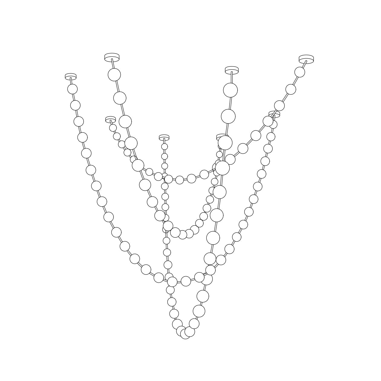 Lindencourt Strand Necklace Chandelier
