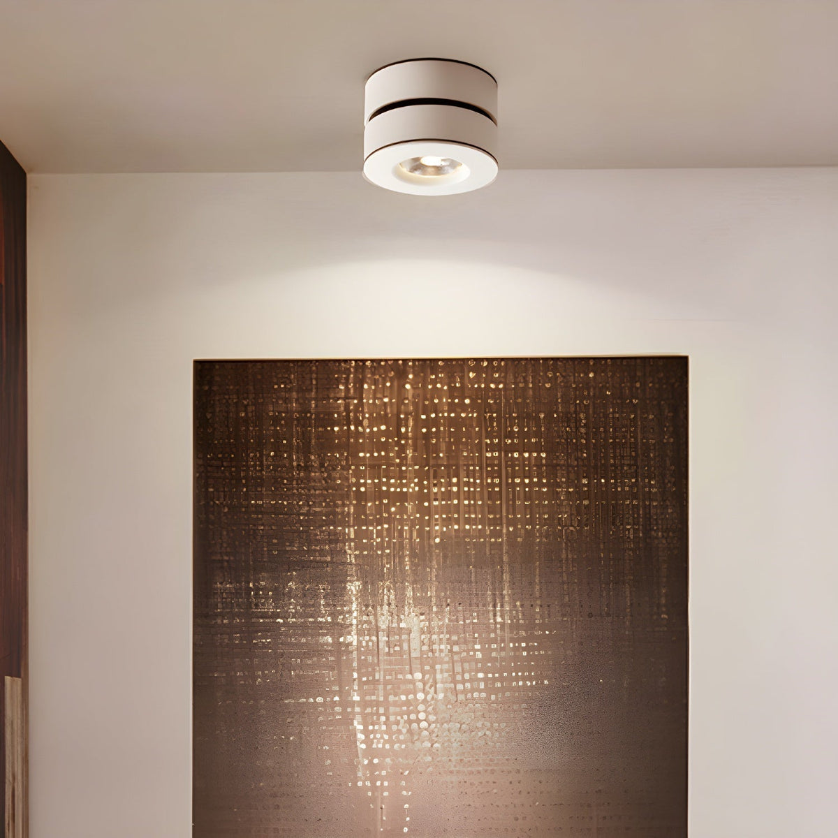 Covena Modern Minimalist Adjustable Surface Downlight Ceiling lamp