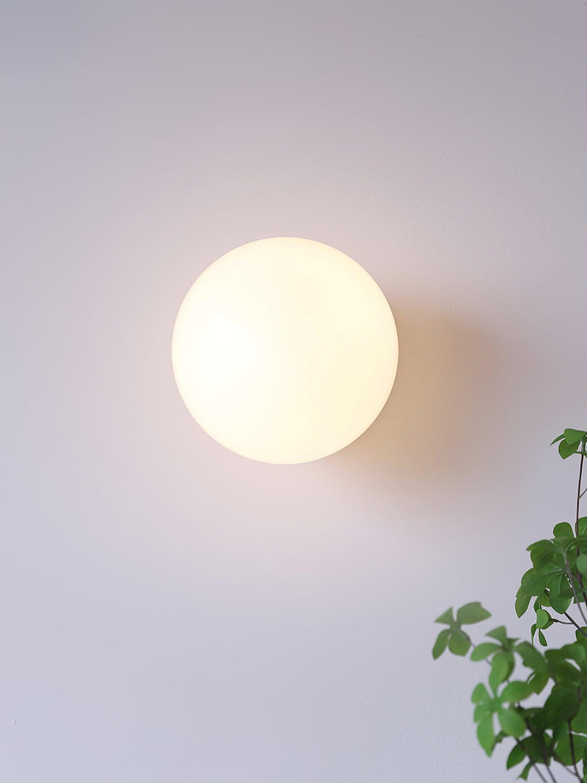 Stefan Modern Minimalist Glass Sconces Wall lamp