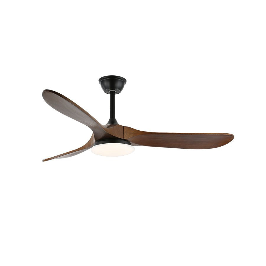 Liorueria Ceiling Fan Light