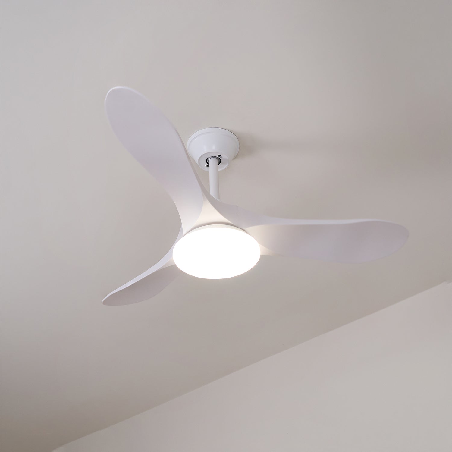 Oriken Minimalist Ceiling Fan Light