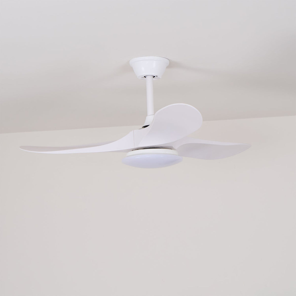 Oriken Minimalist Ceiling Fan Light