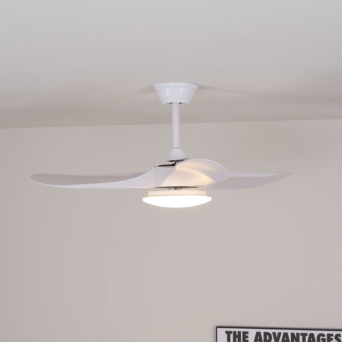 Oriken Minimalist Ceiling Fan Light