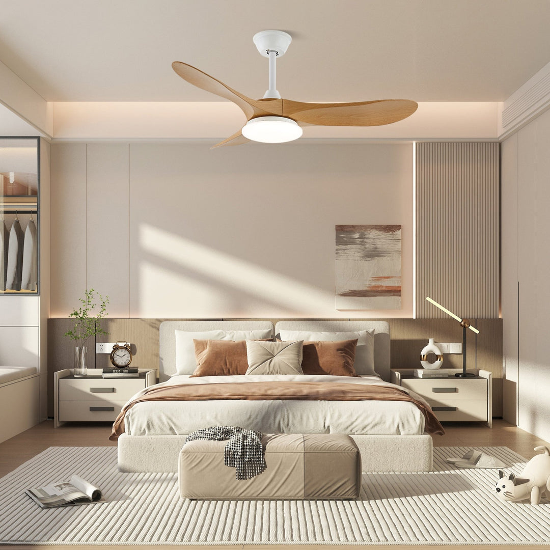 Liorueria Ceiling Fan Light