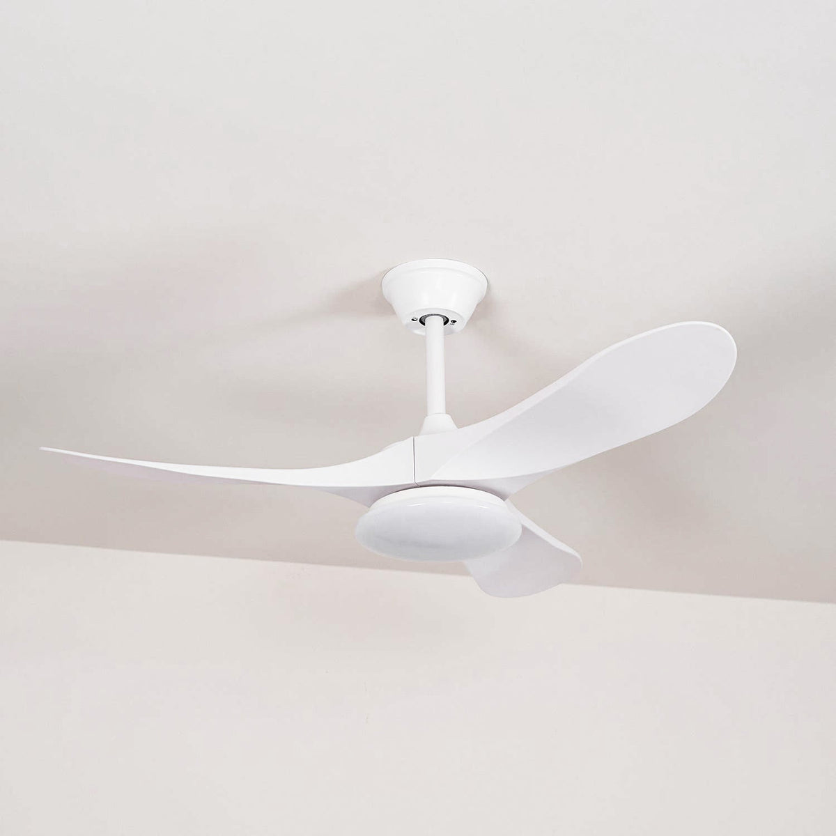 Liorueria Ceiling Fan Light
