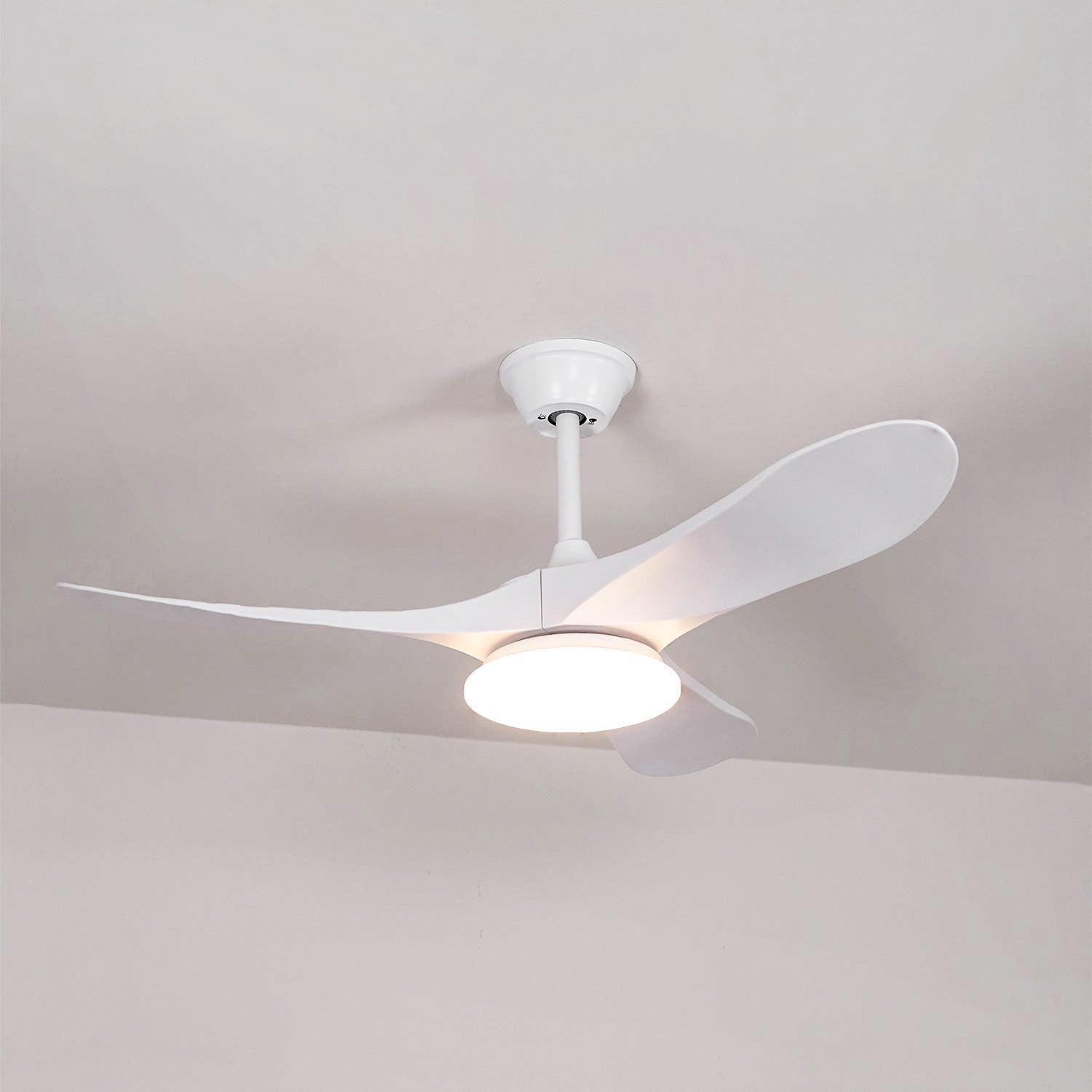 Liorueria Ceiling Fan Light