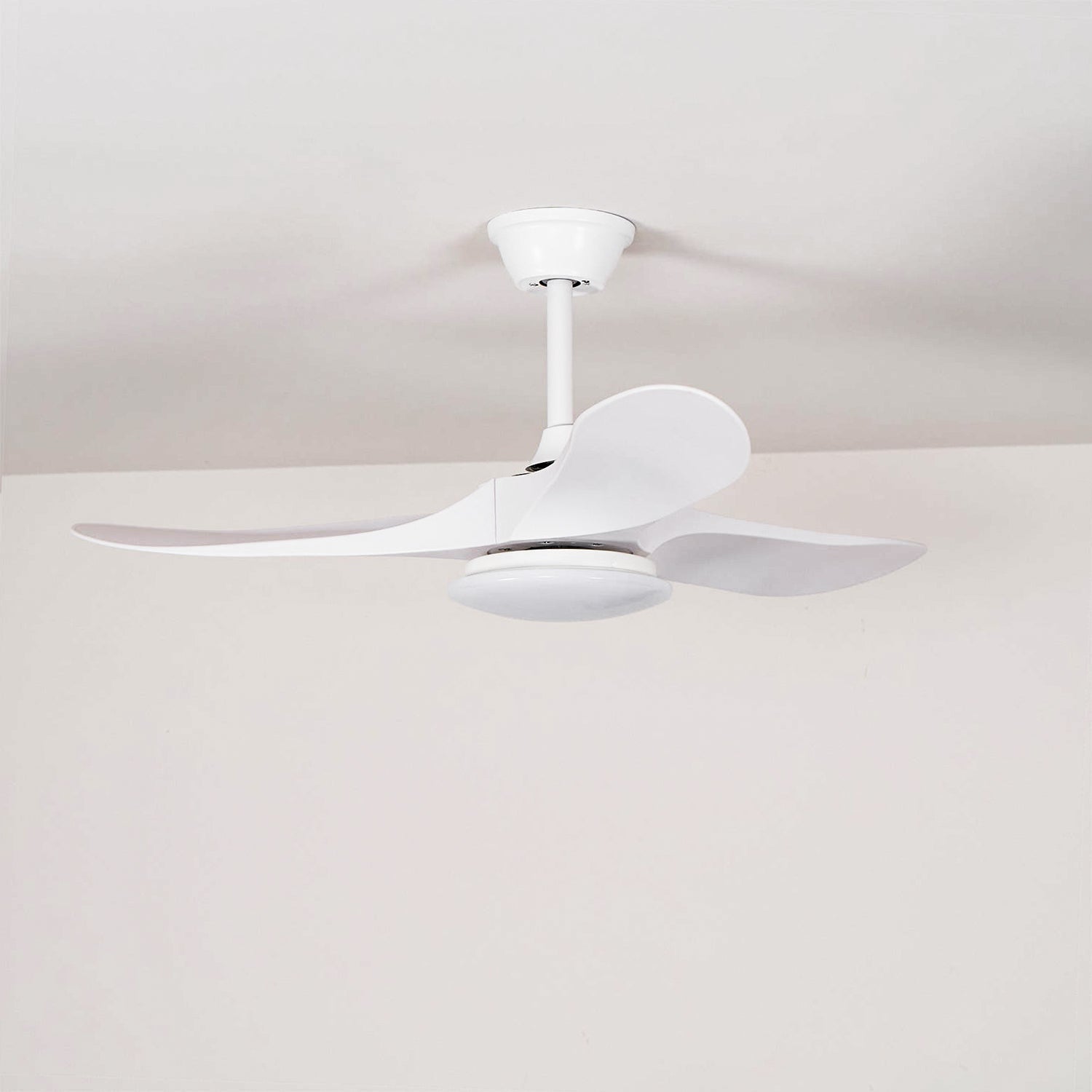Liorueria Ceiling Fan Light