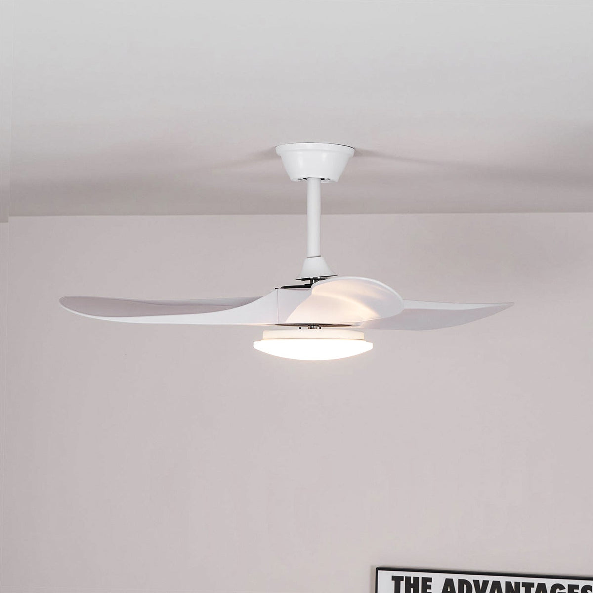 Liorueria Ceiling Fan Light