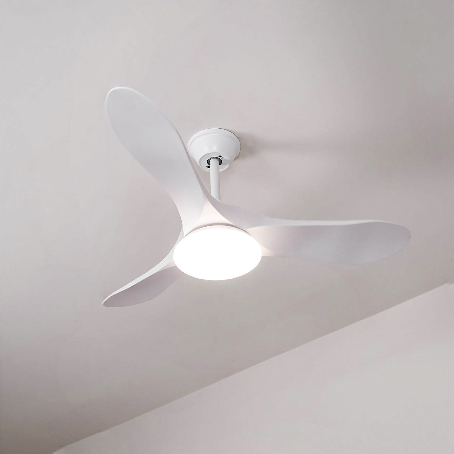 Liorueria Ceiling Fan Light