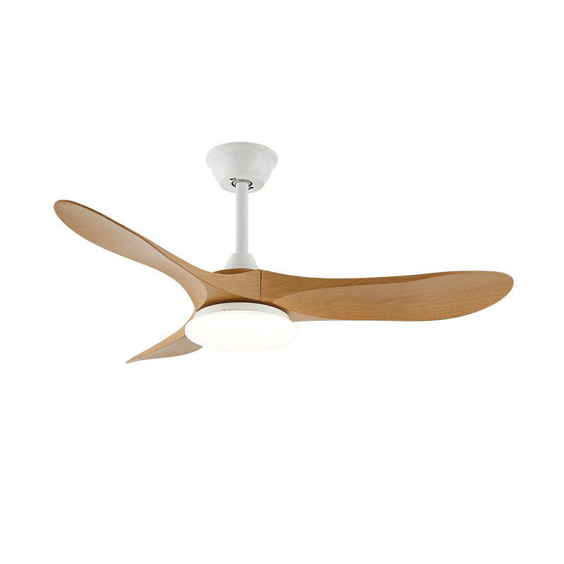 Liorueria Ceiling Fan Light