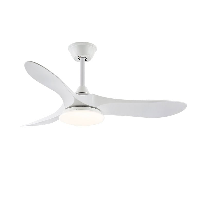 Oriken Minimalist Ceiling Fan Light
