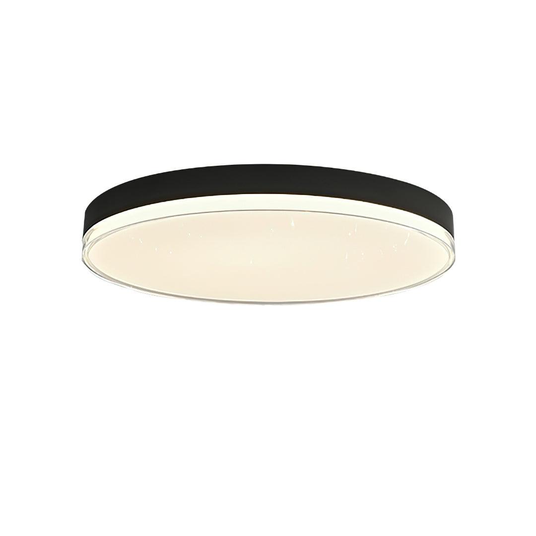 Cemariel Modern Minimalist Ceiling Lamp