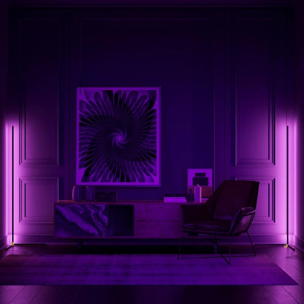 Seleina Minimalist Floor Lamp
