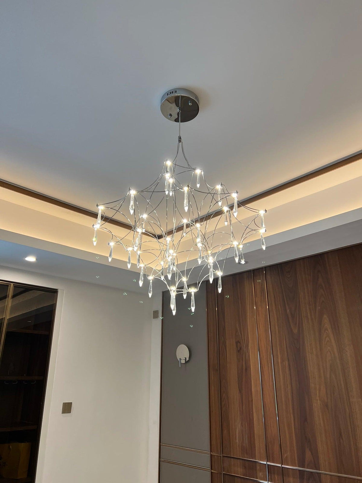 Cyrorella Chandelier Stainless Crystal Net