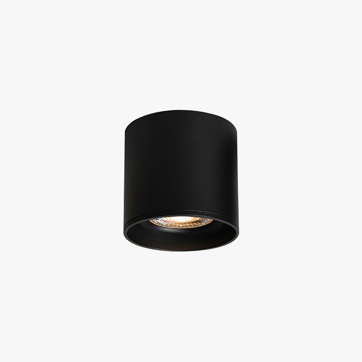 Celinaya Ceiling Light Acrylic