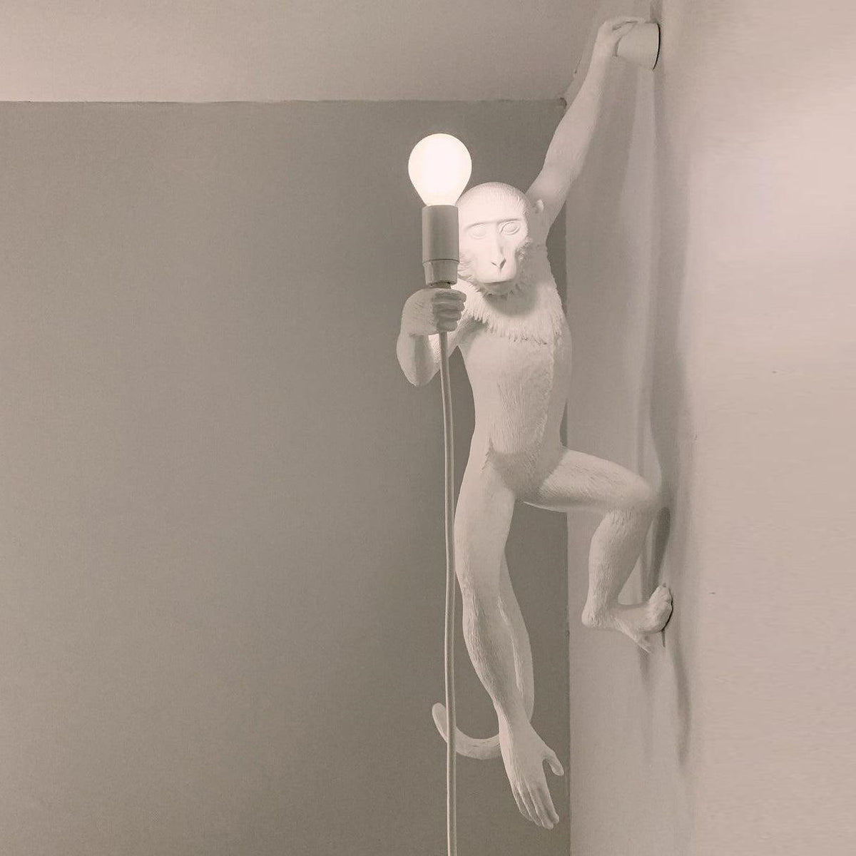 Bnx Art Unique Monkey Resin Wall Lamp