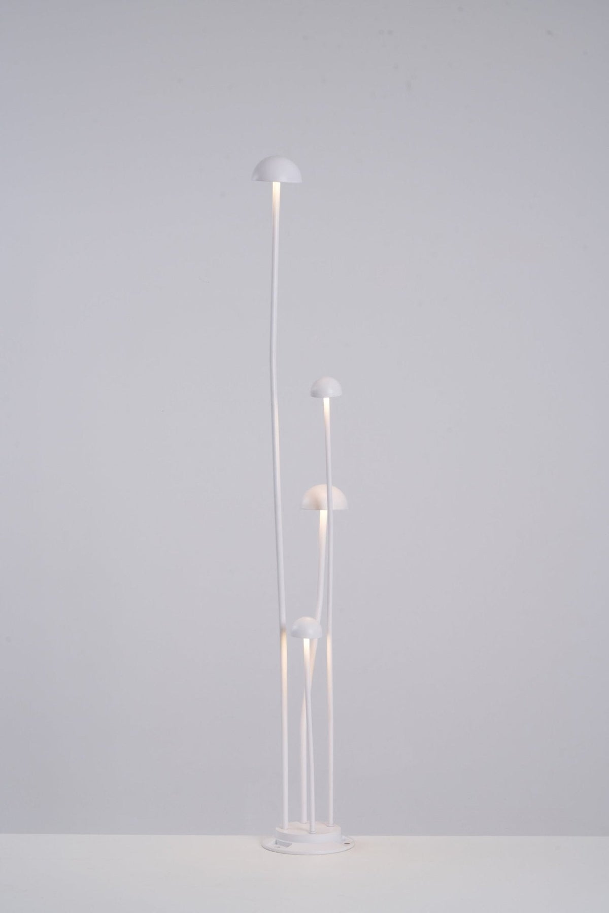 Nolv Outdoor Lamp