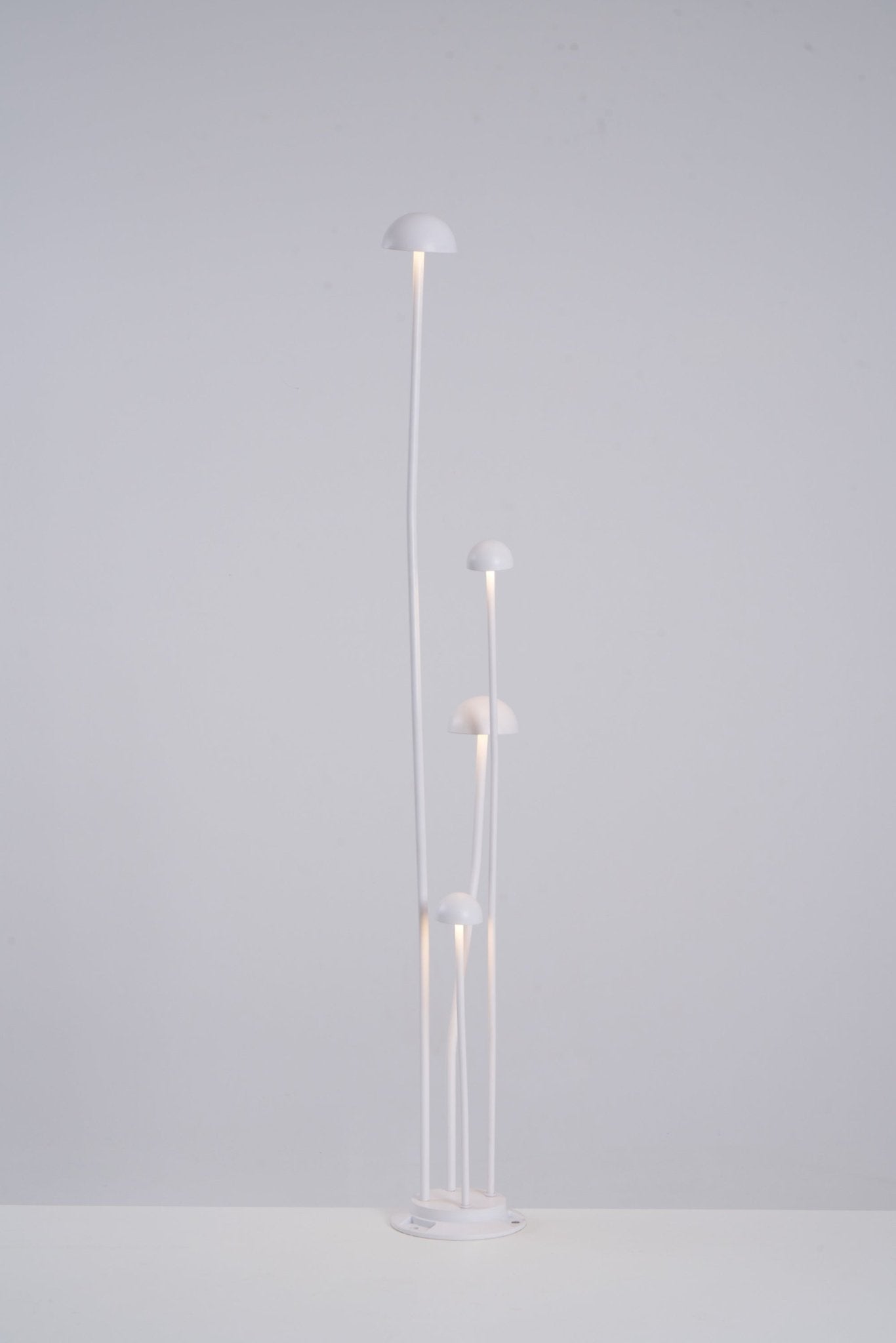 Nolv Outdoor Lamp