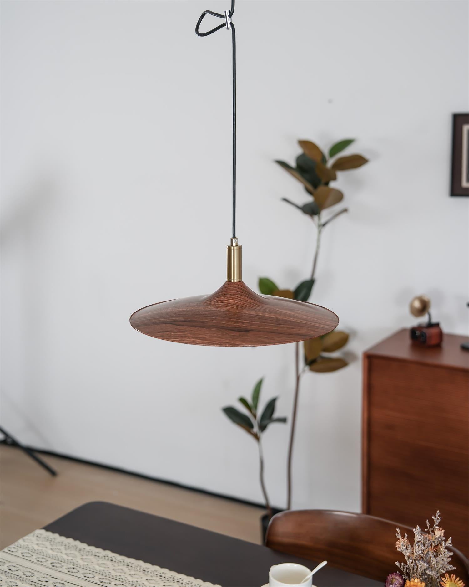 Veylo Adjustable Swing Arm Pendant Light - Neutral Decor