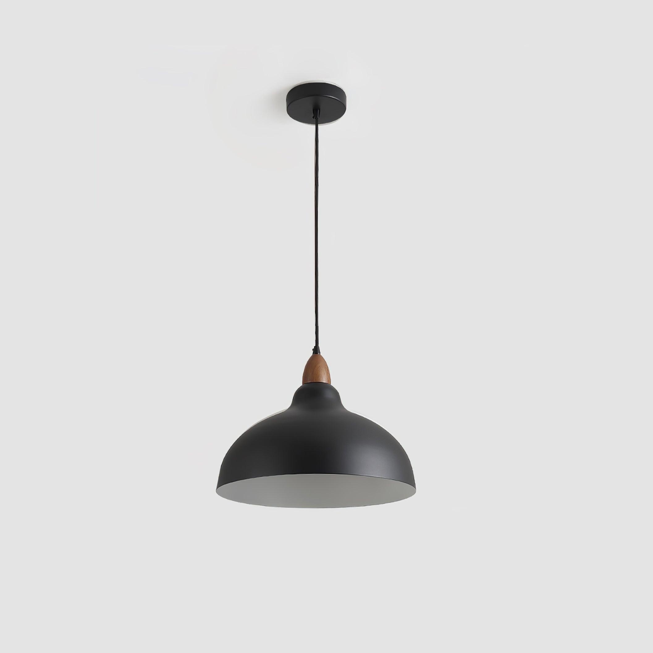 Nororena Minimalist Pendant Lamp