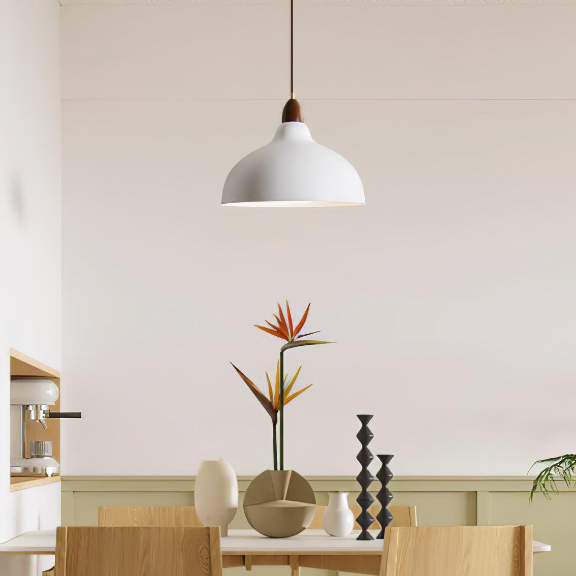 Nororena Minimalist Pendant Lamp