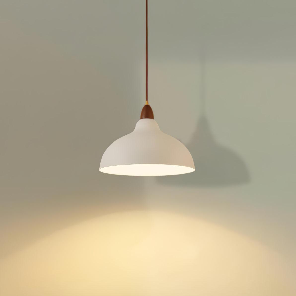 Nororena Minimalist Pendant Lamp