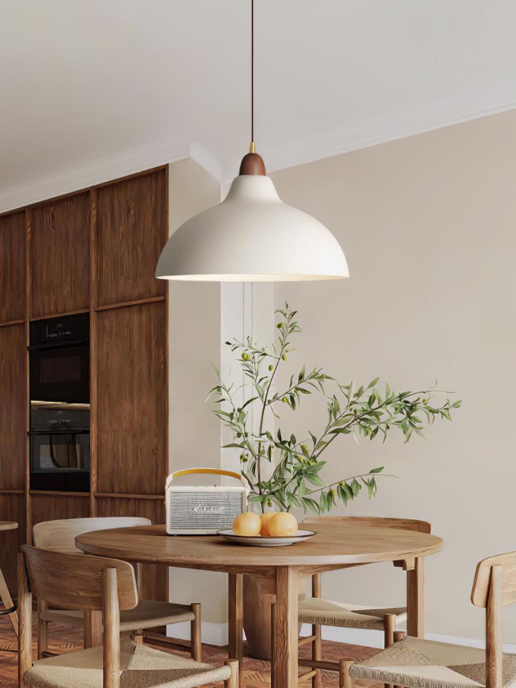 Nororena Minimalist Pendant Lamp