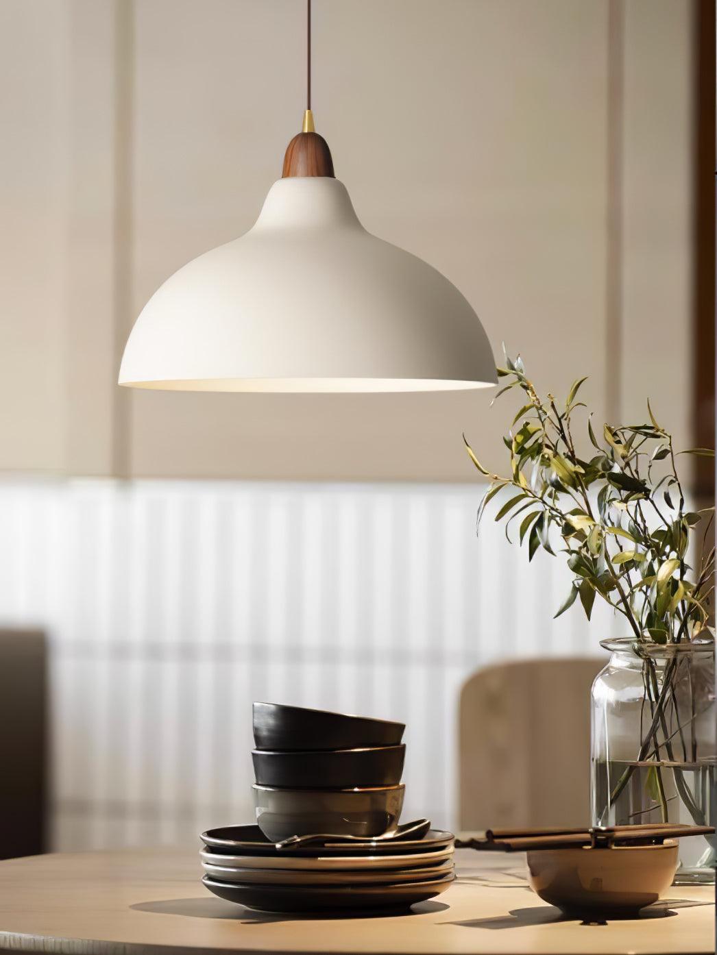 Nororena Minimalist Pendant Lamp
