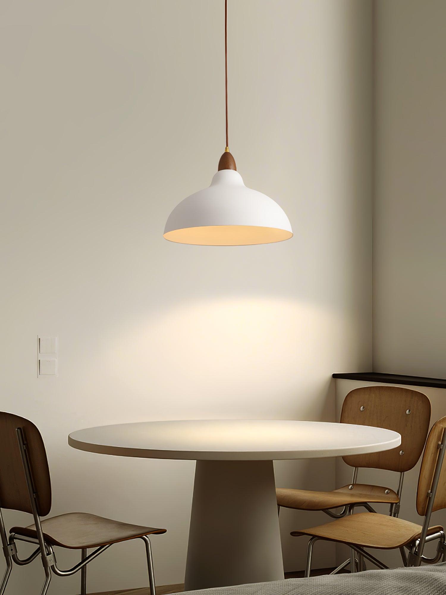 Nororena Minimalist Pendant Lamp