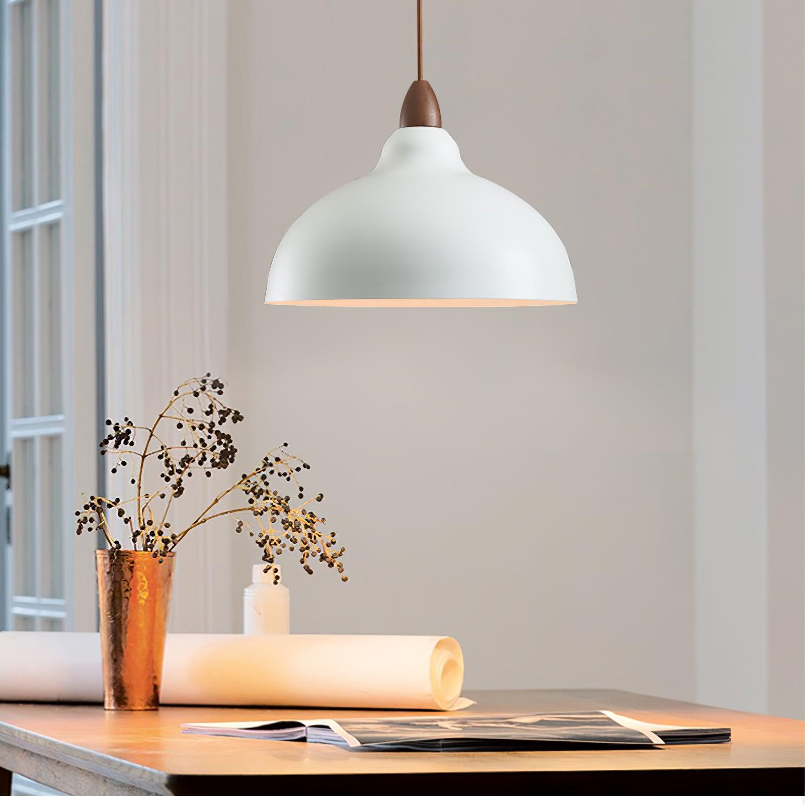Nororena Minimalist Pendant Lamp