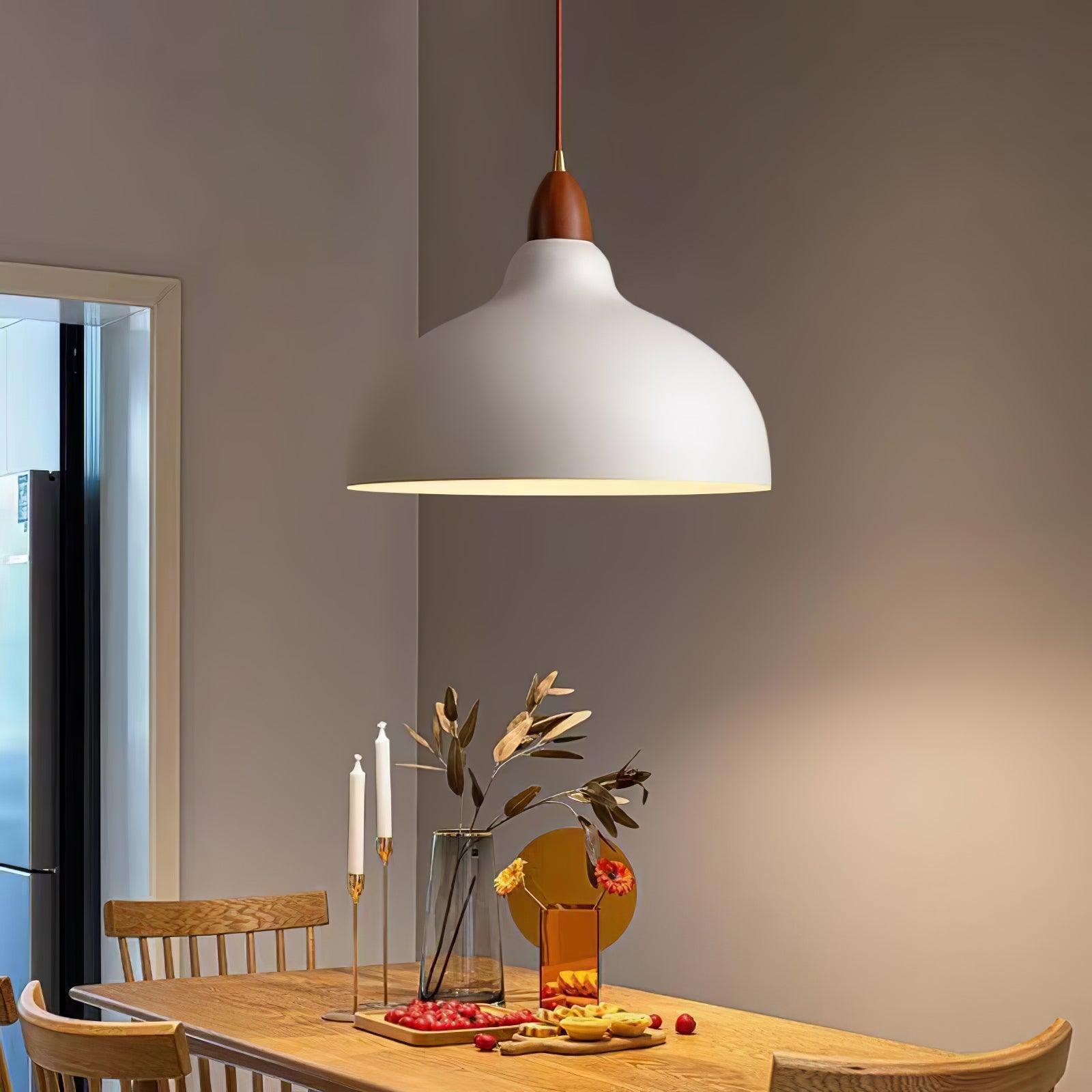 Nororena Minimalist Pendant Lamp