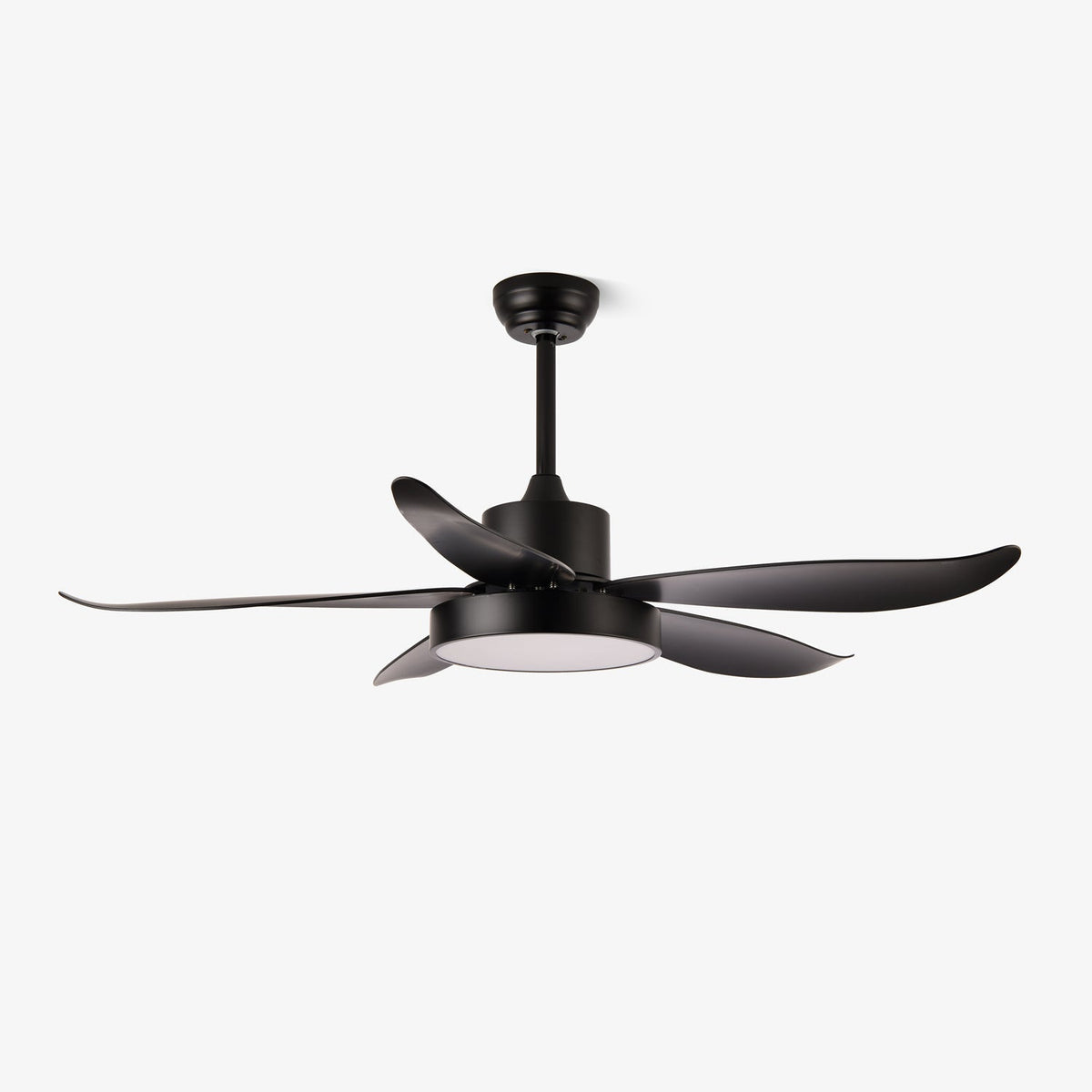 Selalise Modern Ceiling Fan Light