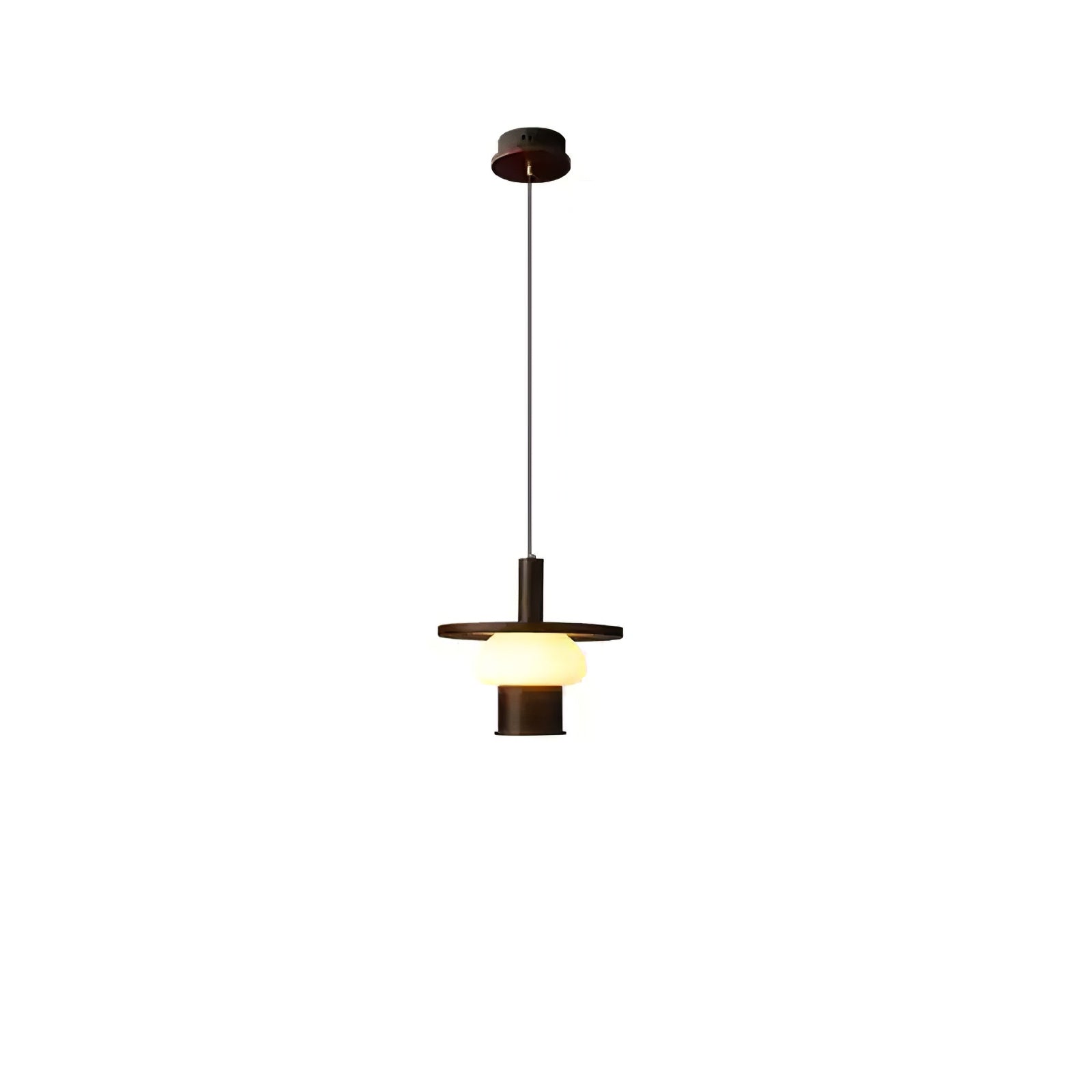 Zephaan Traditional Art Classic Glass Wood Pendant Light
