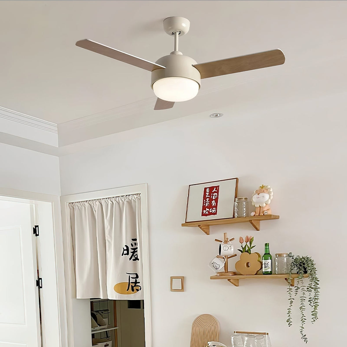 Cirareon Ceiling Fan Light