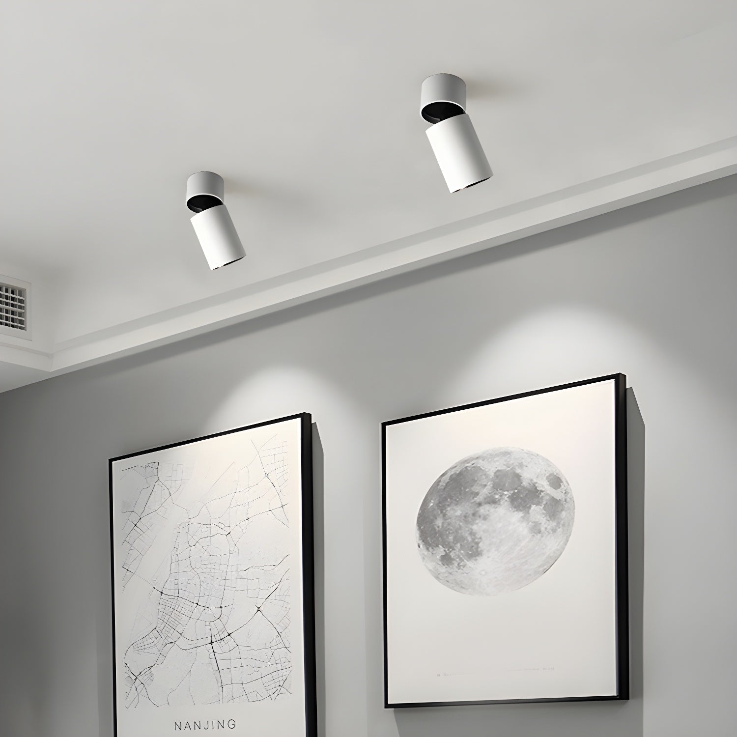 Colven Classic Tube Surface Downlight Ceiling lamp
