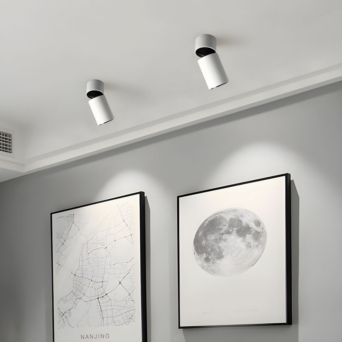 Colven Classic Tube Surface Downlight Ceiling lamp