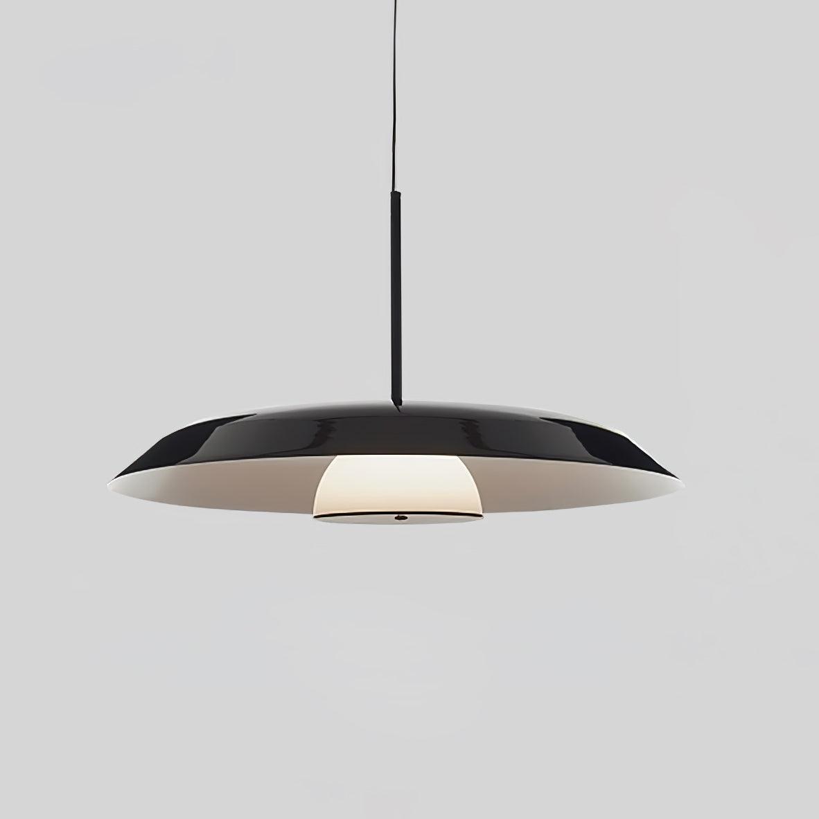 Calyx Acrylic Artistic Pendant Lamp