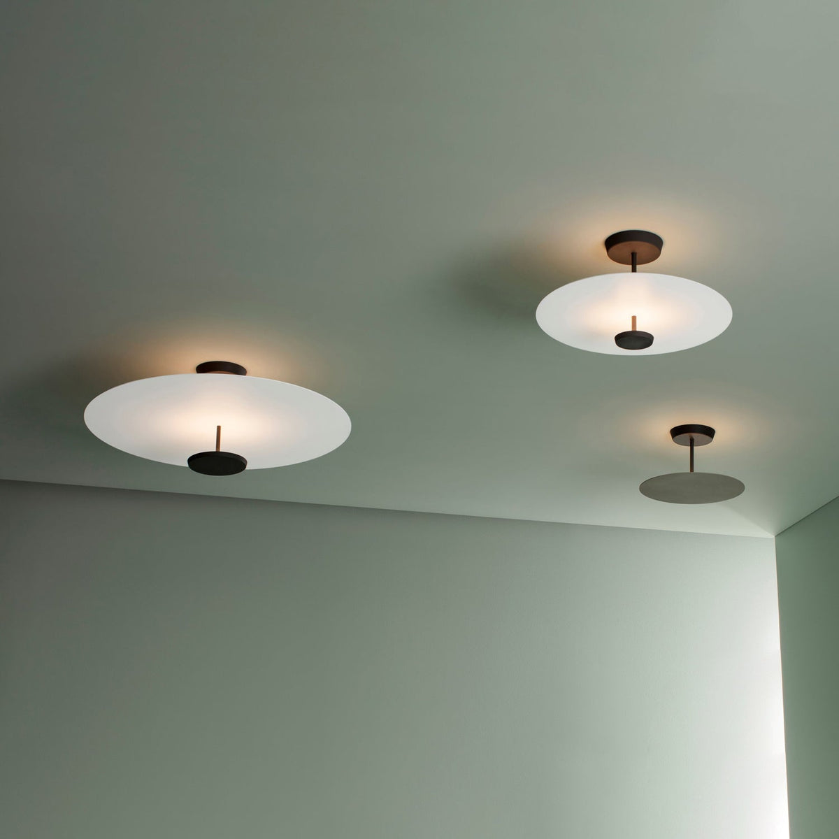 Miraline Modern Ceiling Light
