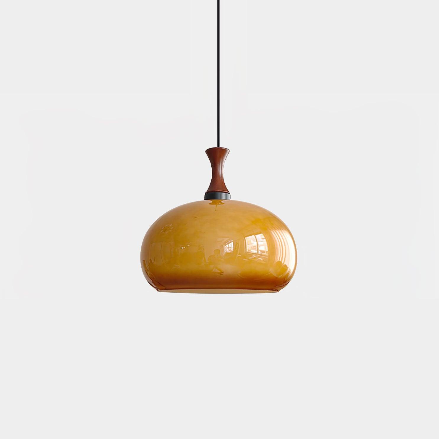 Gyls Modern Minimalist Wood Glass Pendant Lamp