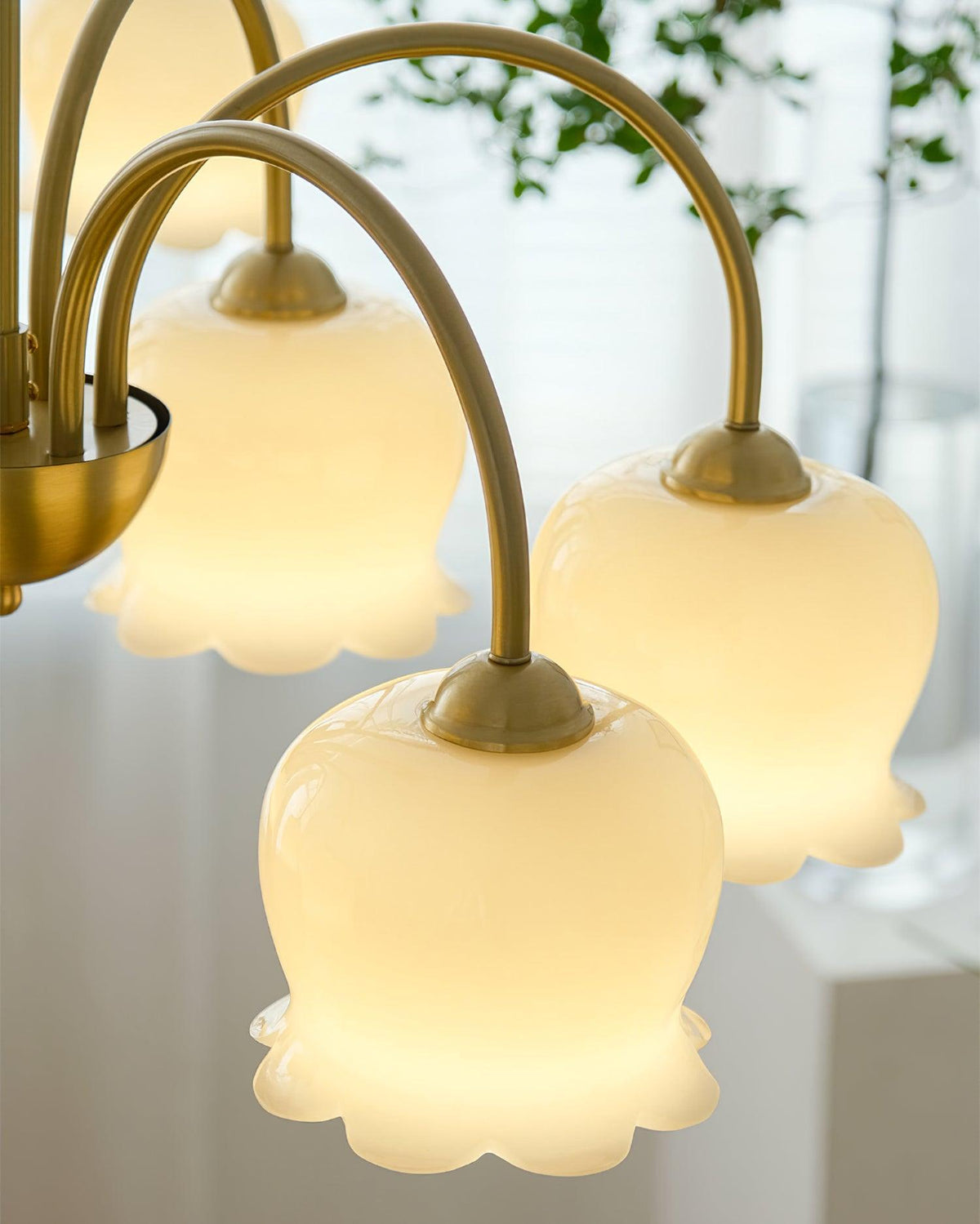 Solenora Chandelier Brass Elegant Curved Arm