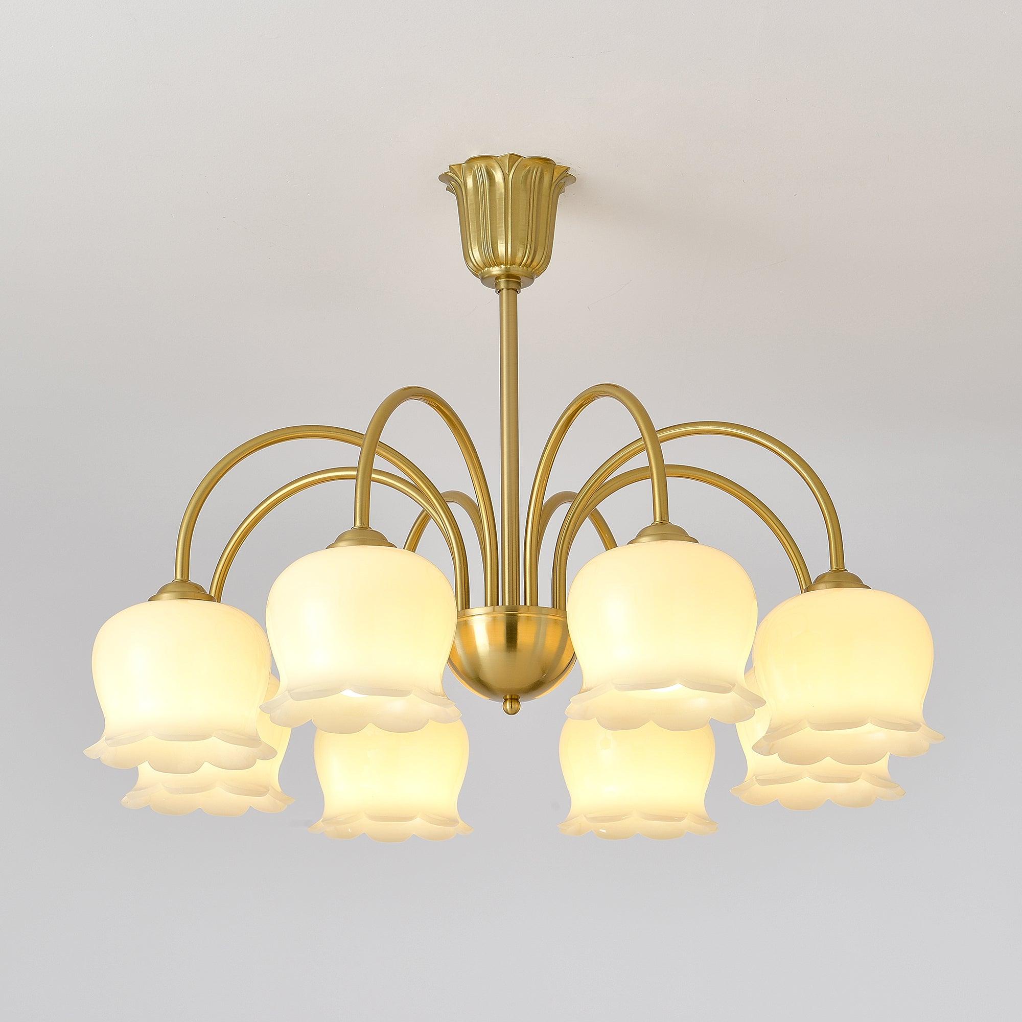 Solenora Chandelier Brass Elegant Curved Arm