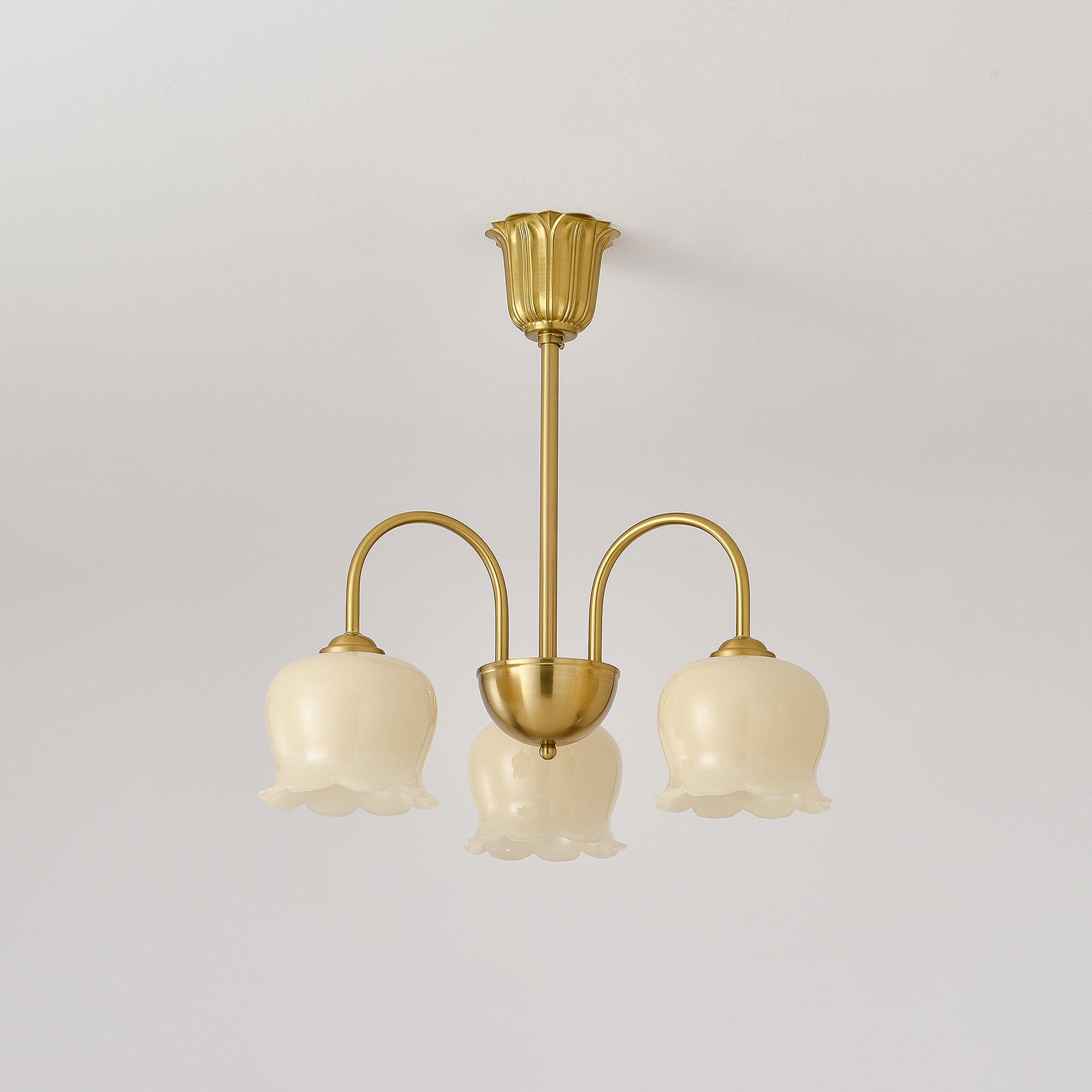 Solenora Chandelier Brass Elegant Curved Arm