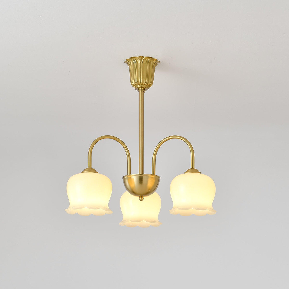 Solenora Chandelier Brass Elegant Curved Arm