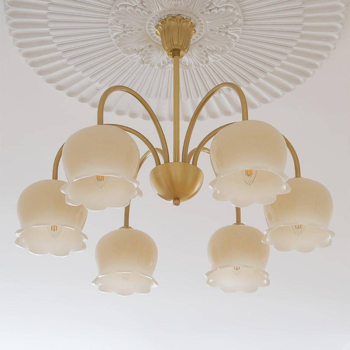 Solenora Chandelier Brass Elegant Curved Arm