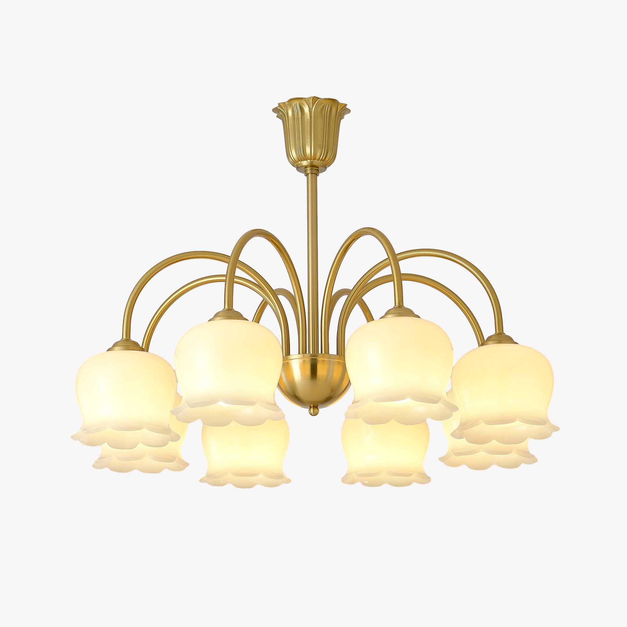 Solenora Chandelier Brass Elegant Curved Arm