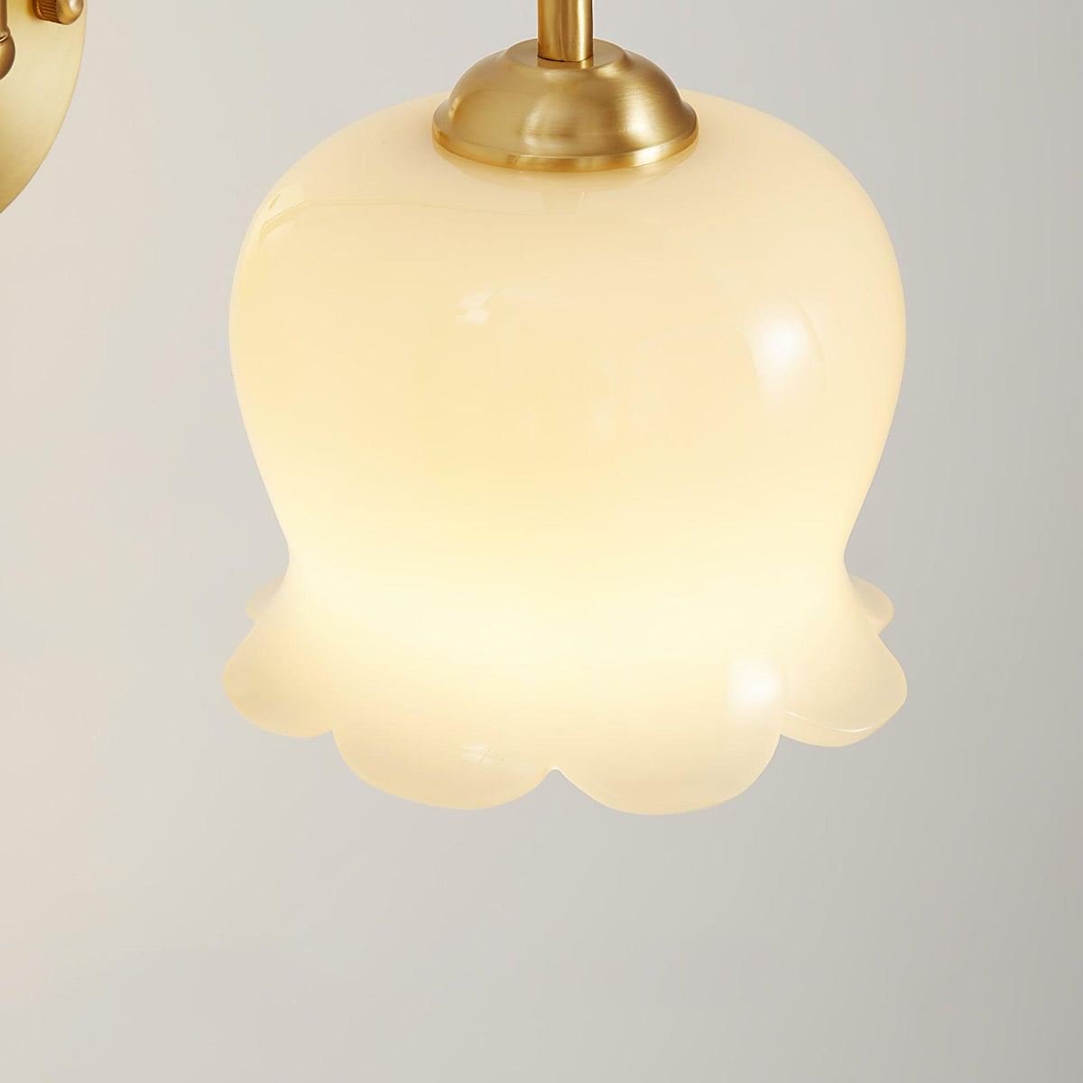 Avcarora Premium Nordic Art Brass Glass Wall Lamp